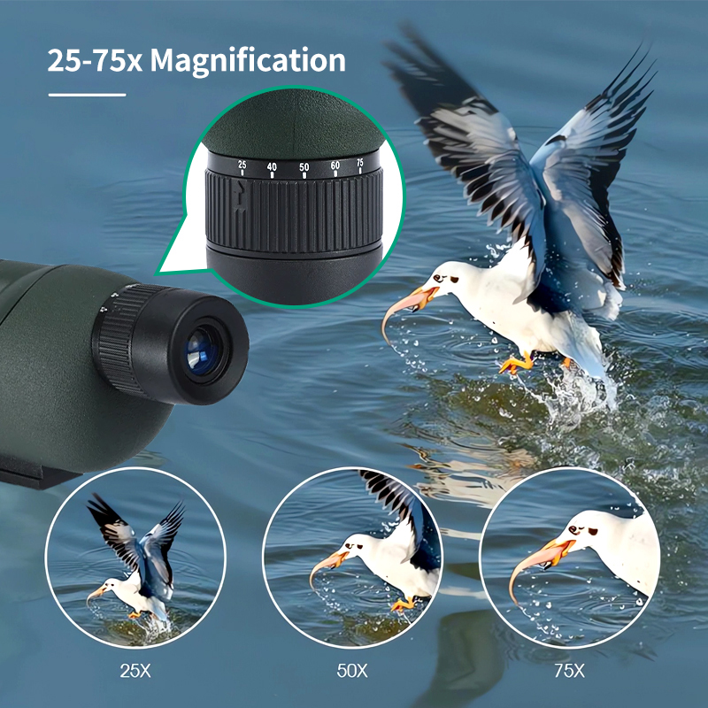 25-75x60 Spotting Scope Zoom M - Outdoor Adventure Watches 评论和价格